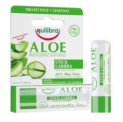 Kaitsev huulepalsam aaloeekstraktiga Equilibra Aloe Protezione Naturale 5.5 ml цена и информация | Помады, бальзамы, блеск для губ | kaup24.ee