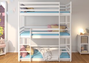 Кровать двухъярусная Adrk Furniture Tedro 80x180 см, коричневый цвет цена и информация | Детские кровати | kaup24.ee