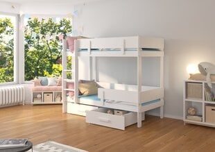 Кровать двухъярусная ADRK Furniture Etiona 90x200 см, белый цвет цена и информация | Детские кровати | kaup24.ee