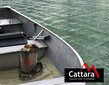 Veekindel kott Cattara, 10L, roheline hind ja info | Spordikotid, seljakotid | kaup24.ee