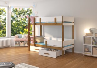 Двухъярусная кровать ADRK Furniture Etiona 80x180 см, белый цвет/коричневый цвет цена и информация | Детские кровати | kaup24.ee