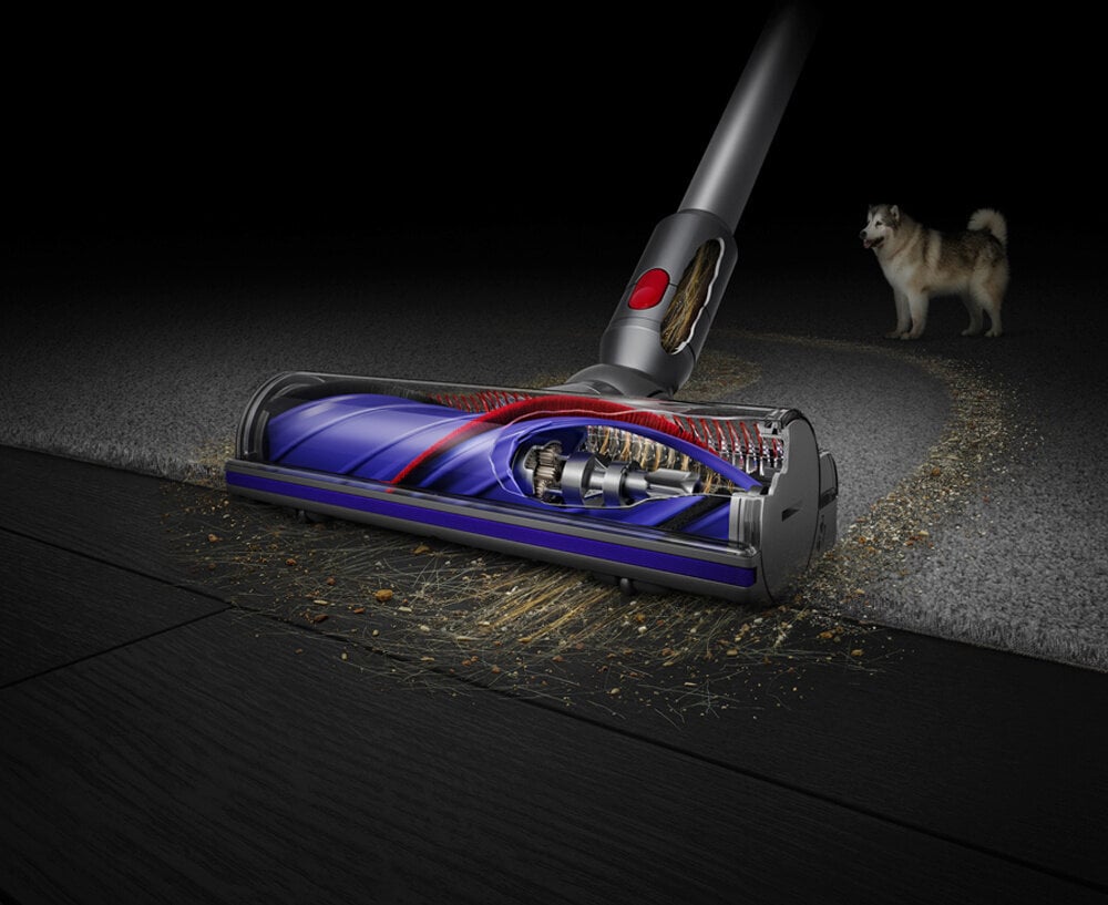 Dyson V11 hind ja info | Varstolmuimejad | kaup24.ee