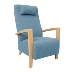Кресло VENLA голубой цена и информация | Кресла для отдыха | kaup24.ee