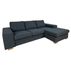Угловой диван DAGMAR темно-серый цена и информация | Угловые диваны | kaup24.ee