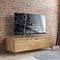 TV-laud Alter 1 uksega, 150x43x48 cm, pruun цена и информация | TV alused | kaup24.ee