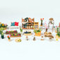 Puidust kokkupandav miniatuur - roombox Miller's flower house RB007e hind ja info | Klotsid ja konstruktorid | kaup24.ee