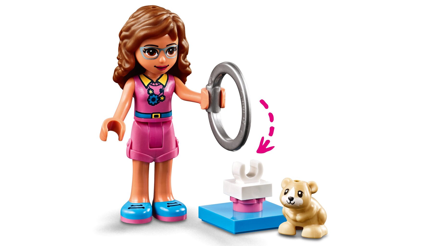 41383 LEGO® Friends Olivia hamstri mänguväljak цена и информация | Klotsid ja konstruktorid | kaup24.ee