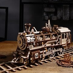 Puidust 3D pusle TM Varvikas - Locomotive RK001e цена и информация | Конструкторы и кубики | kaup24.ee