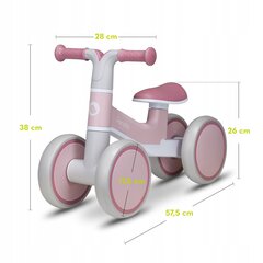 Tasakaaluratas Lionel Vila, roosa цена и информация | Балансировочные велосипеды | kaup24.ee