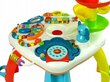 Õppelaud, interaktiivne rada pallidele alates 18 kuust hind ja info | Imikute mänguasjad | kaup24.ee