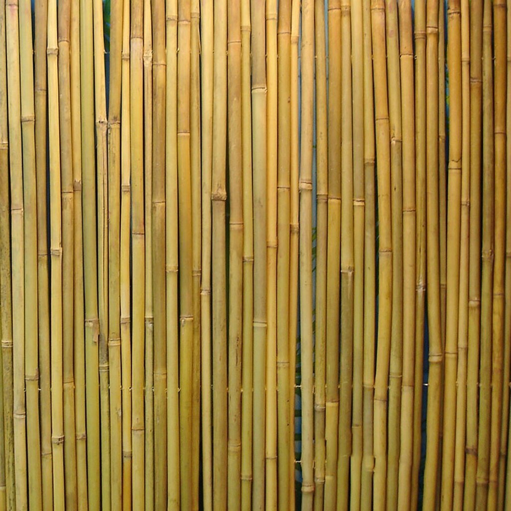 Rull bambusaed IN GARDEN, 2x3m, naturaalne bambus D14/16mm, ühendustraat läbi bambuse hind ja info | Aiad ja tarvikud | kaup24.ee