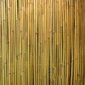 Rull bambusaed IN GARDEN, 2x3m, naturaalne bambus D14/16mm, ühendustraat läbi bambuse цена и информация | Aiad ja tarvikud | kaup24.ee