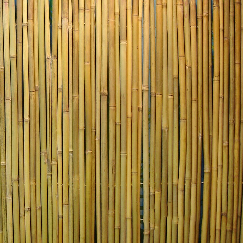 Rull bambusaed IN GARDEN, 1x3m, naturaalne bambus D14/16mm, ühendustraat läbi bambuse hind ja info | Aiad ja tarvikud | kaup24.ee