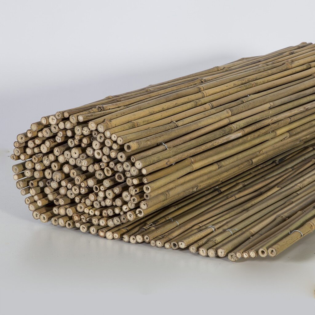 Rull bambusaed IN GARDEN, 2x5m, naturaalne bambus D8/10mm цена и информация | Aiad ja tarvikud | kaup24.ee