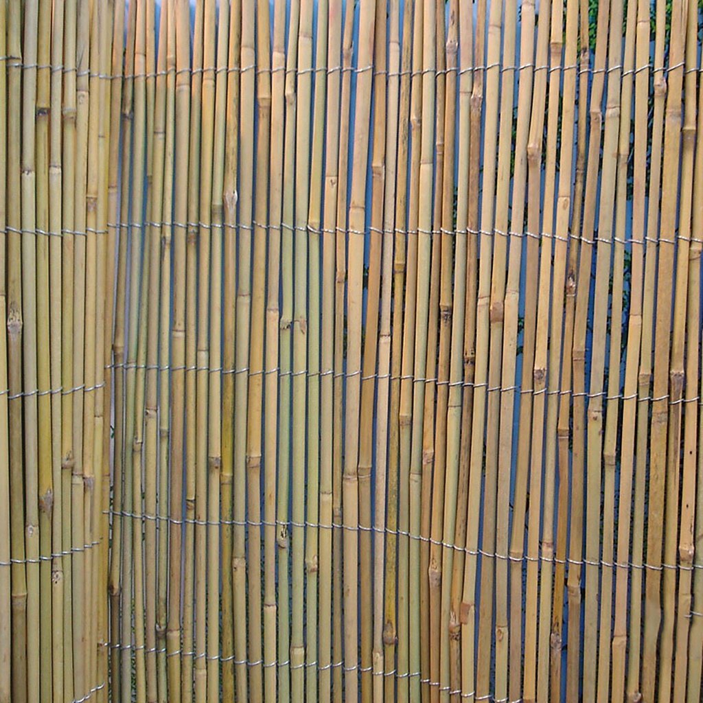 Rull bambusaed IN GARDEN, 2x5m, naturaalne bambus D8/10mm hind ja info | Aiad ja tarvikud | kaup24.ee