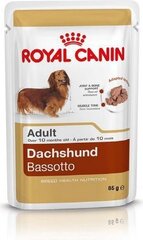 Konserv taksikoertele Royal Canin Adult, 85 g hind ja info | Konservid koertele | kaup24.ee