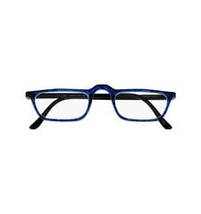 Prillid lugemiseks 4410 Demi Blue 1.25 hind ja info | Prillid | kaup24.ee