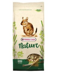 Versele Laga täistoit deegudele Degu Nature, 0,7 kg цена и информация | Корм для грызунов | kaup24.ee