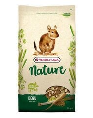 Versele Laga täistoit deegudele Degu Nature, 2,3 kg цена и информация | Корм для грызунов | kaup24.ee