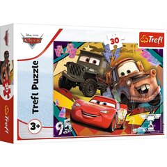 Pusle Cars 30 osa Trefl hind ja info | Pusled | kaup24.ee