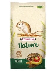 Laga Versele полноценный корм для песчанок Laga Gerbil Nature, 0,7 кг цена и информация | Корм для грызунов | kaup24.ee