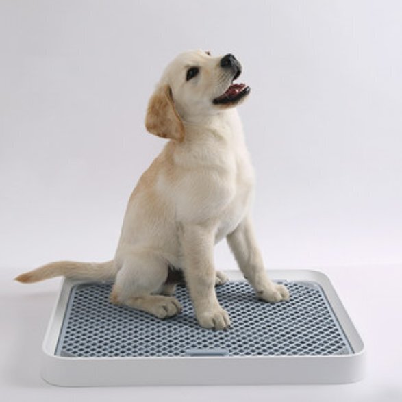 PETKIT WC Pura Dog, 52 x 39 x 4,7 cm цена и информация | Hooldusvahendid loomadele | kaup24.ee