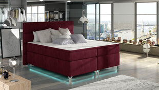 Кровать  Amadeo, 160x200 см, красный цвет цена и информация | Кровати | kaup24.ee