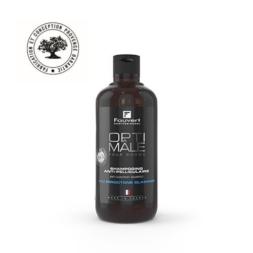 Kõõmavastane šampoon meestele, 250 ml цена и информация | Šampoonid | kaup24.ee