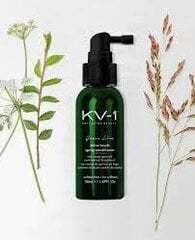 Распыляемый кондиционер для волос, придающий блеск KV-1 Anti-Aging Beauty Green Line Shine Touch Spray-Conditioner, 50 мл цена и информация | Бальзамы, кондиционеры | kaup24.ee