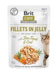 Brit Care täiskasvanud kassidele kana ja forelliga, 24x85 g hind ja info | Brit Care Kassidele | kaup24.ee