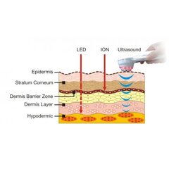 Многофункциональный аппарат для сонофореза цена и информация | Приборы для ухода за лицом | kaup24.ee
