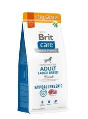 Brit Care Hypoallergenic Adult Lamb&Rice täiskasvanud koertele lambaliha ja riisiga, 12+2kg hind ja info | Kuivtoit koertele | kaup24.ee