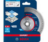 Teemantlõikeketas Bosch X-Lock, 1 tk. цена и информация | Käsitööriistad | kaup24.ee