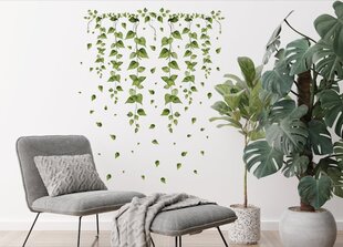 Наклейка на стену зеленые листья плюща цена и информация | Декоративные наклейки | kaup24.ee