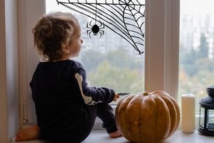 Наклейка на окно с паутиной на Хэллоуин,  40 x 27 см цена и информация | Декоративные наклейки | kaup24.ee