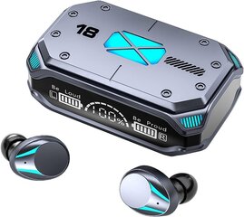 TWS M41 Bluetooth 5.3 беспроводные наушники kaina ir informacija | Наушники | kaup24.ee