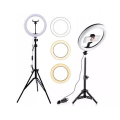 Selfie LED-lamp F-260 26cm statiiviga, ilma puldita цена и информация | Осветительное оборудование для фотосъемок | kaup24.ee