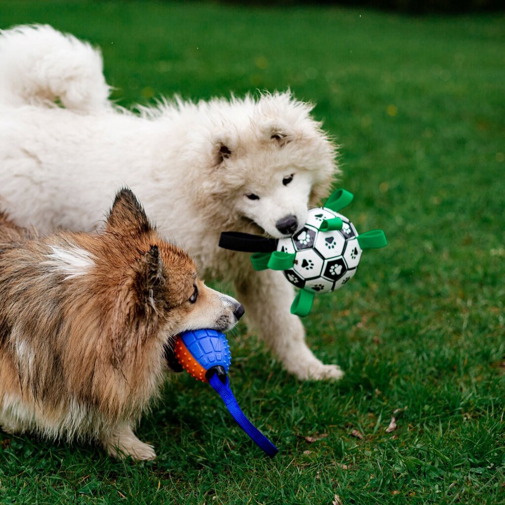 Koeramänguasi - pall käepidemetega hind ja info | Mänguasjad koertele | kaup24.ee