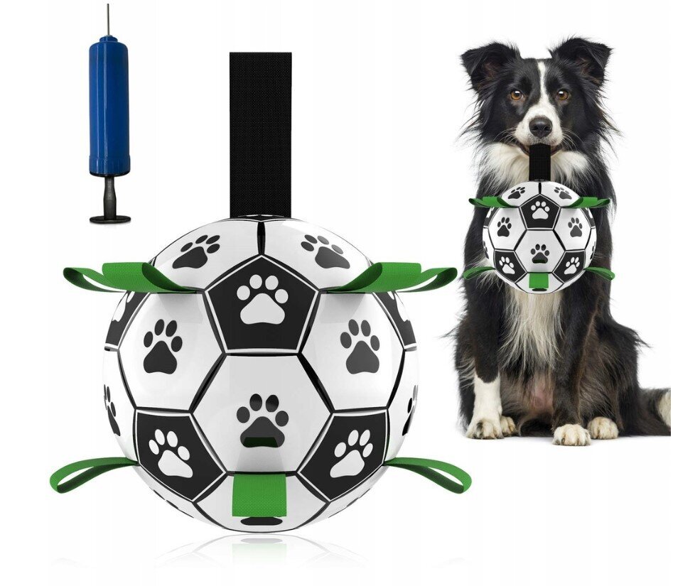 Koeramänguasi - pall käepidemetega hind ja info | Mänguasjad koertele | kaup24.ee