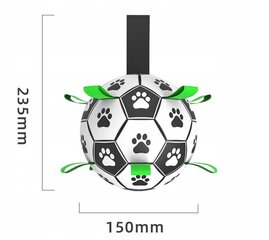 Koeramänguasi - pall käepidemetega hind ja info | Mänguasjad koertele | kaup24.ee