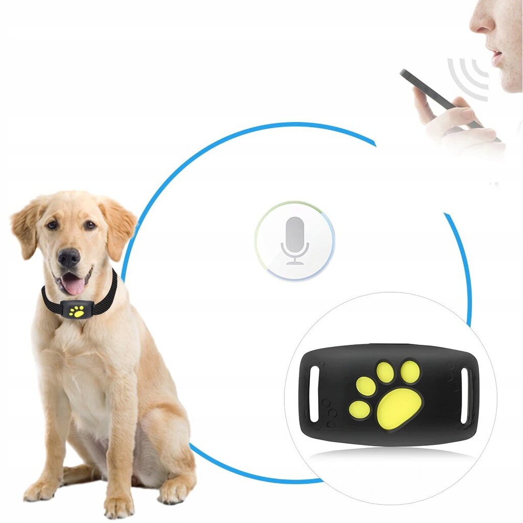 Sõrmuskoerale GPS-seade цена и информация | Kaelarihmad ja traksid koertele | kaup24.ee