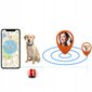 Sõrmuskoerale GPS-seade hind ja info | Kaelarihmad ja traksid koertele | kaup24.ee