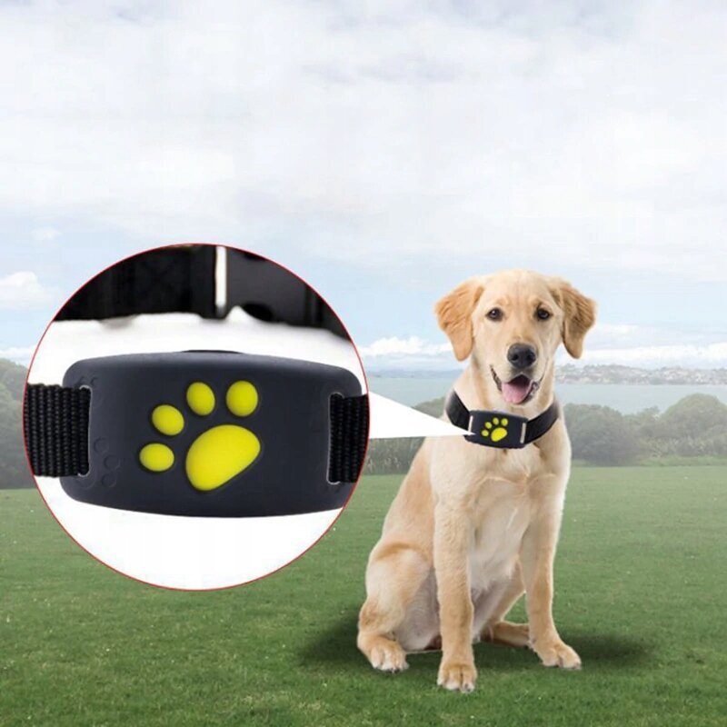 Sõrmuskoerale GPS-seade цена и информация | Kaelarihmad ja traksid koertele | kaup24.ee
