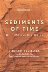 Sediments of Time: On Possible Histories цена и информация | Исторические книги | kaup24.ee