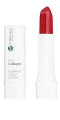 Губная помада VEGAN COLLAGEN Plumping Color Lipstick 04 Fire цена и информация | Помады, бальзамы, блеск для губ | kaup24.ee