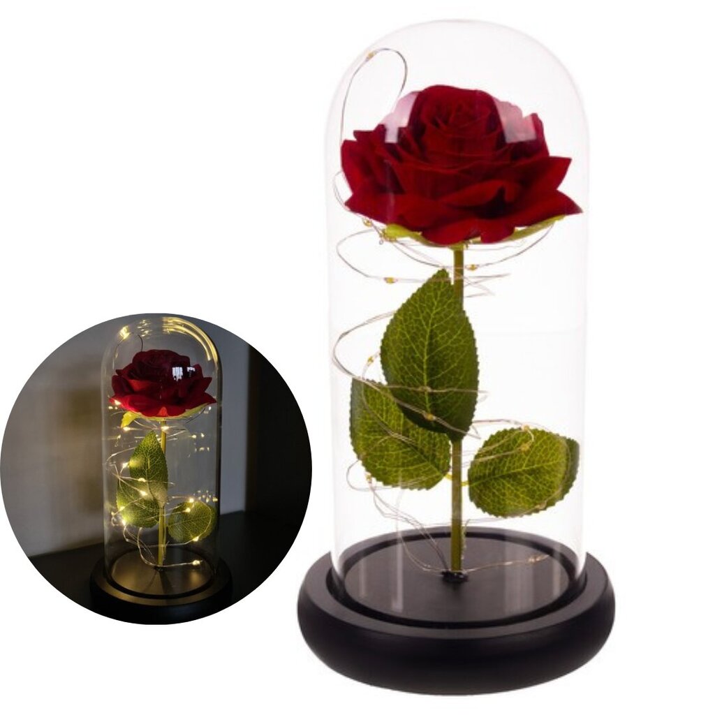 Igavene roos klaasis hind ja info | Uinuvad roosid, taimed | kaup24.ee