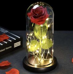 Вечная роза в стакане - сияет цена и информация | Спящие стабилизированные розы, растения | kaup24.ee