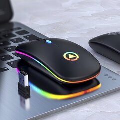 Беспроводная игровая мышь с RGB-подсветкой. цена и информация | Мыши | kaup24.ee