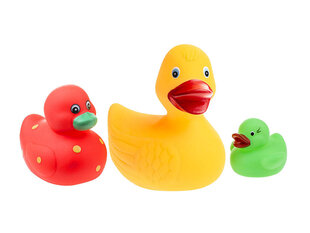 Vannitoa mänguasi - pardipojad, 3 tk hind ja info | Imikute mänguasjad | kaup24.ee