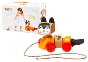 Puidust kass nööriga цена и информация | Игрушки для малышей | kaup24.ee
